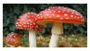 Mushrooms stamp