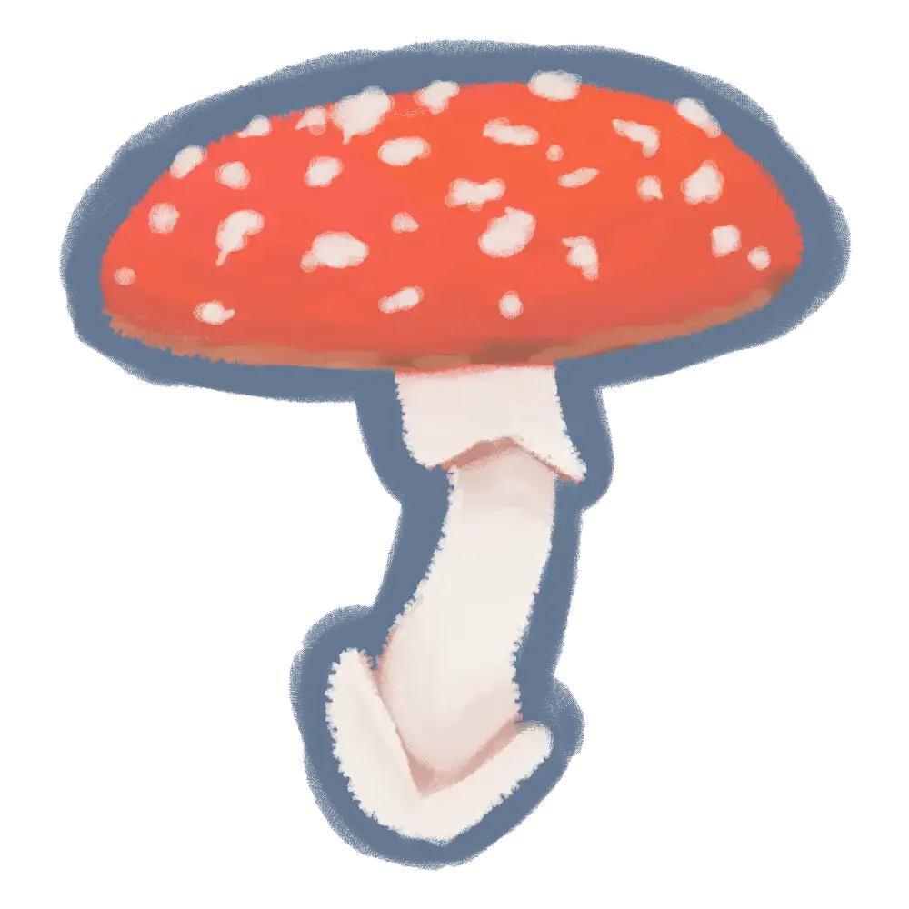 Amanita muscaria