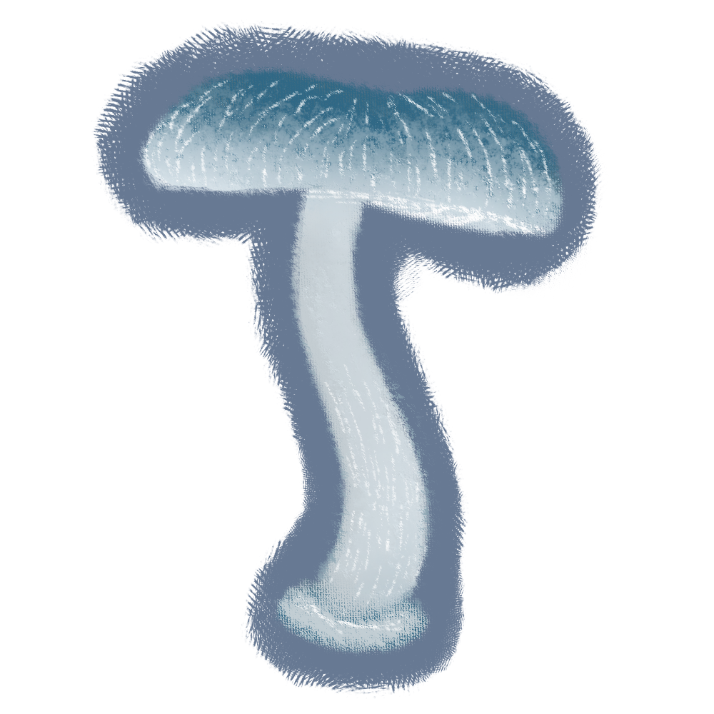Mycena interrupta
