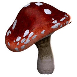 Mushroom